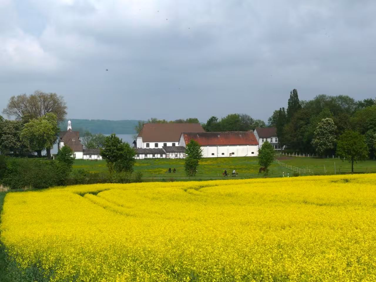 Bild der Unterkunft