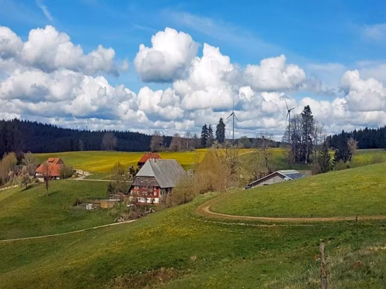 Bild der Unterkunft