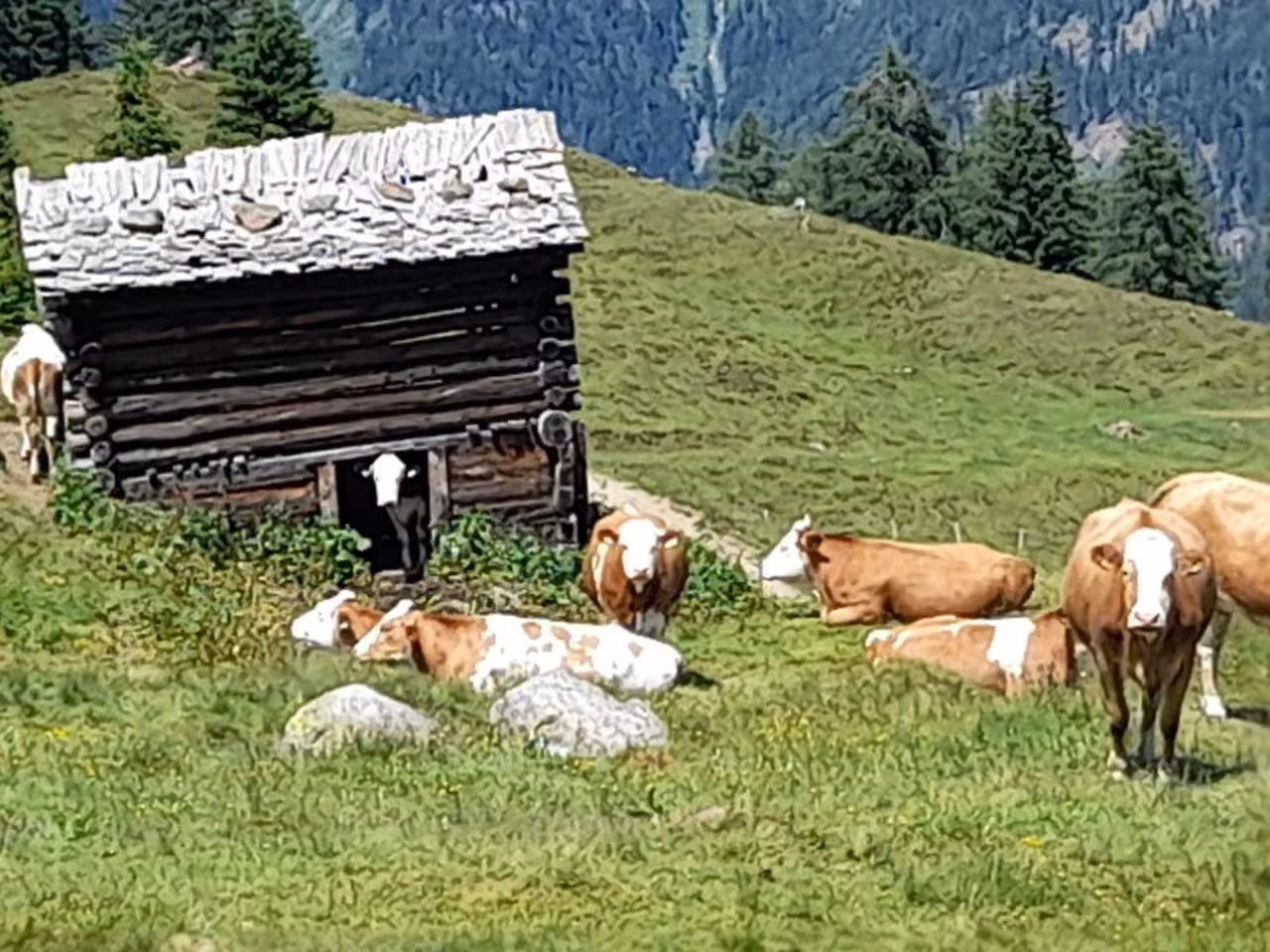 Bild der Unterkunft