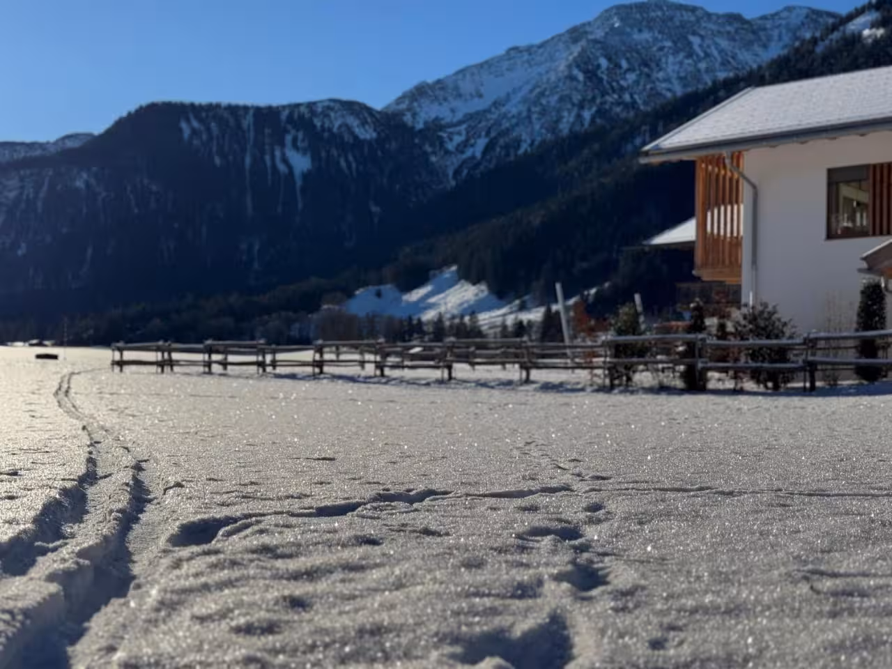 Bild der Unterkunft