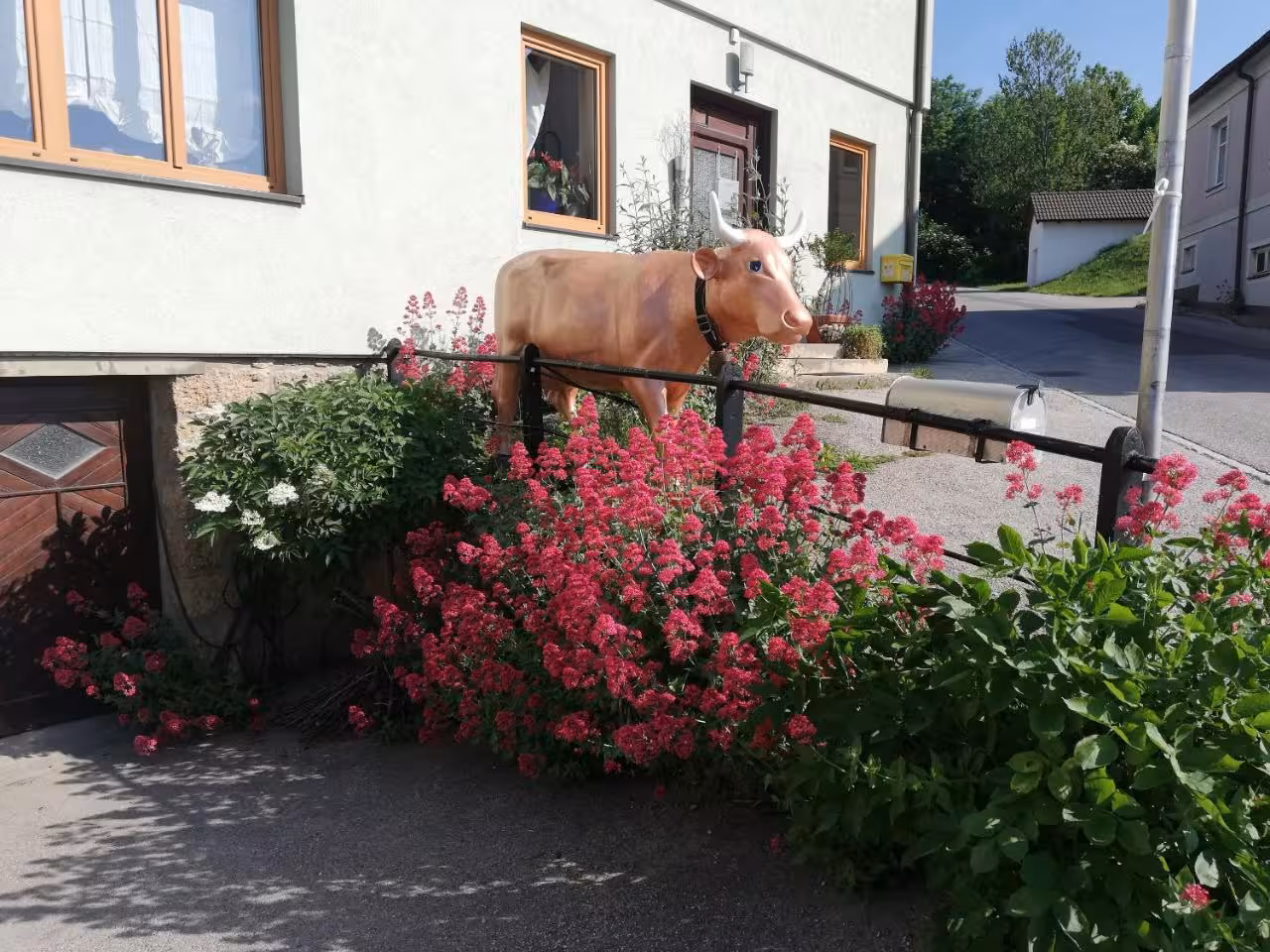 Bild der Unterkunft