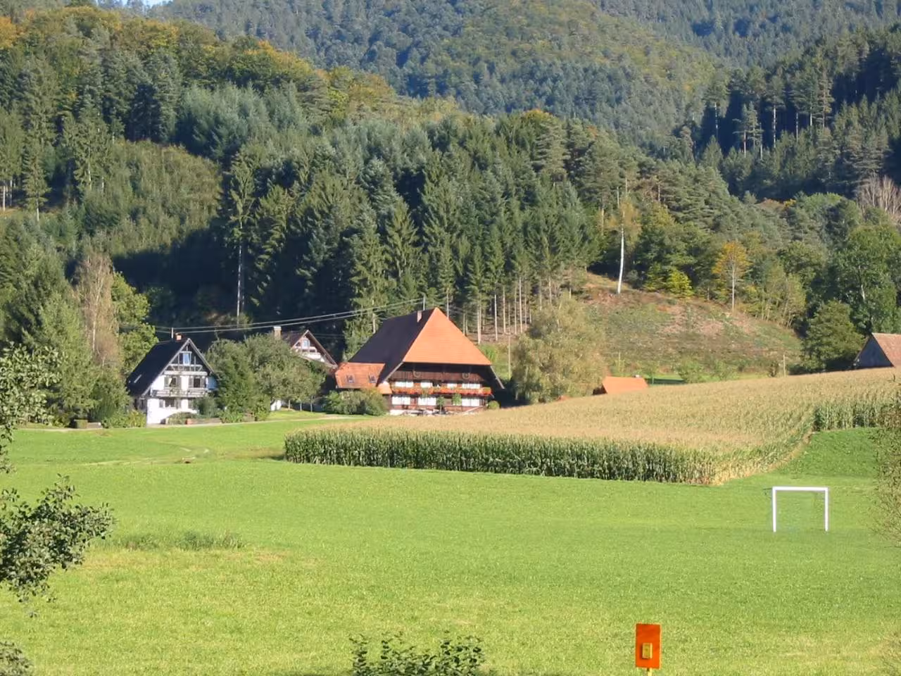 Bild der Unterkunft
