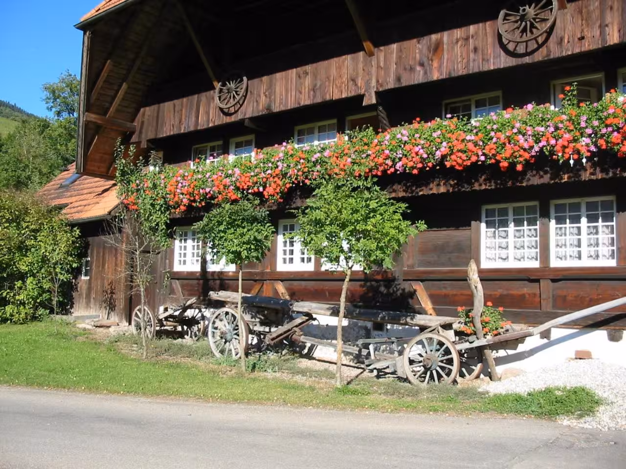 Bild der Unterkunft