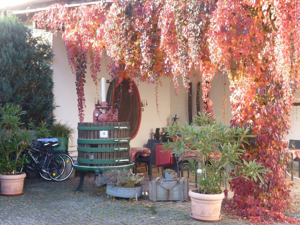 Bild der Unterkunft