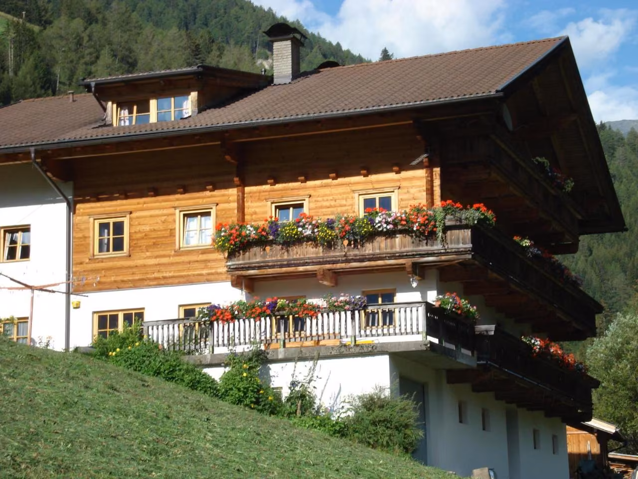 Bild der Unterkunft
