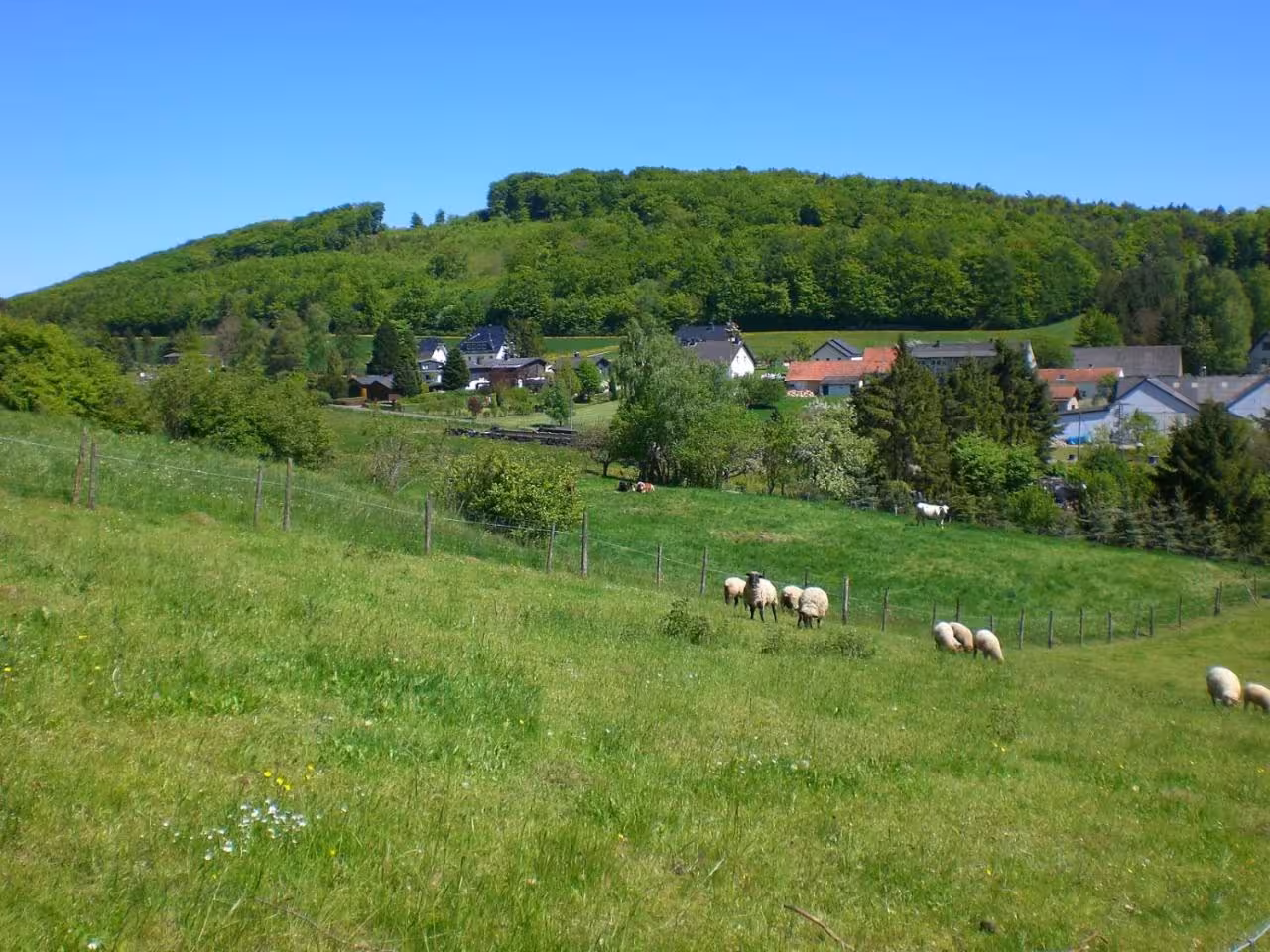 Bild der Unterkunft