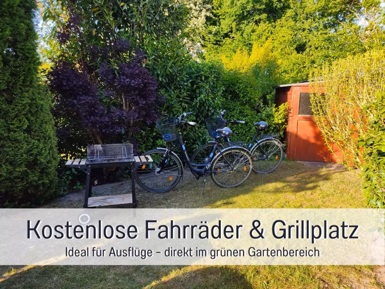 Bild der Unterkunft