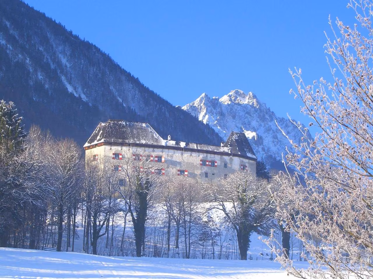 Bild der Unterkunft