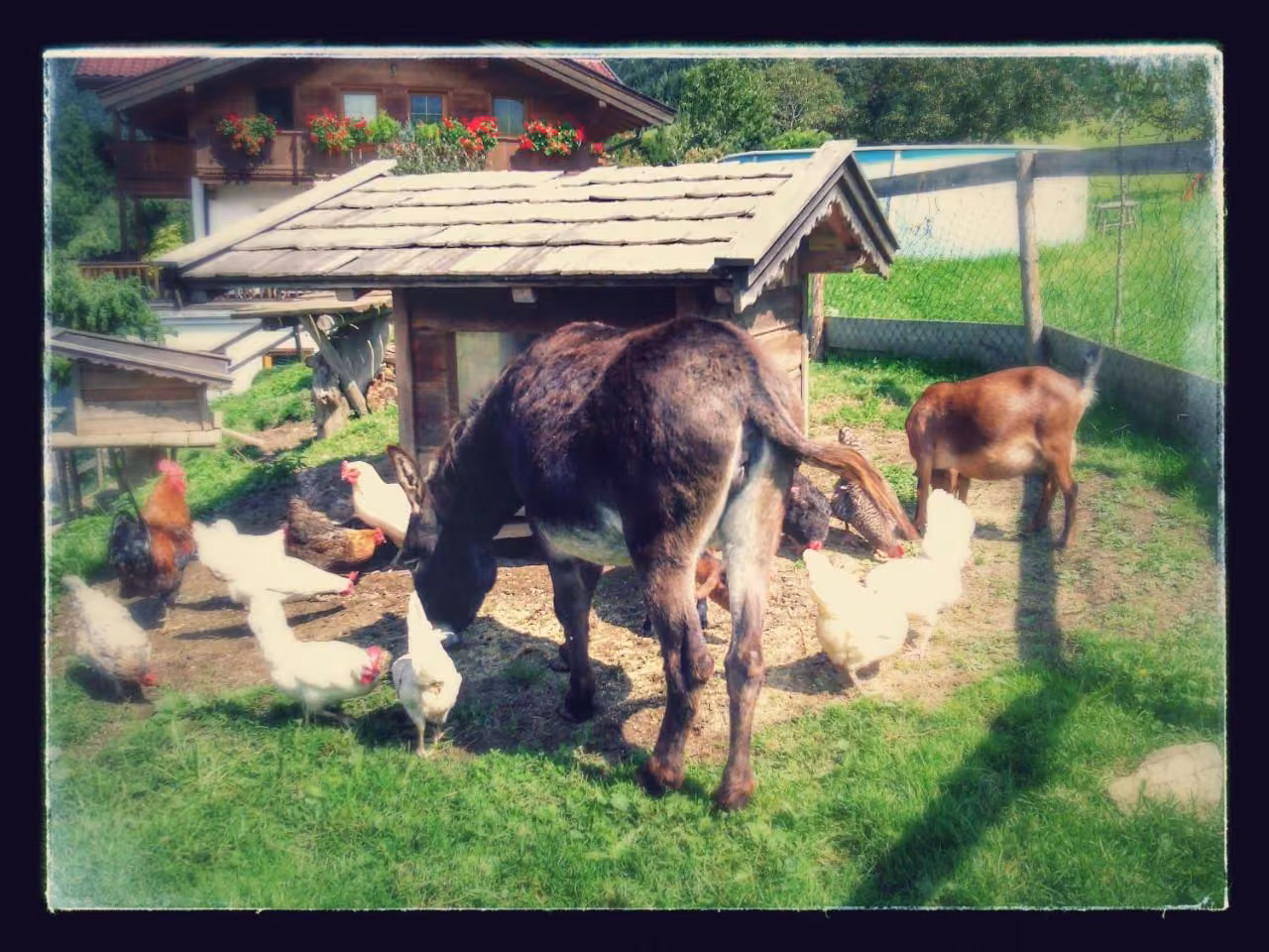 Bild der Unterkunft