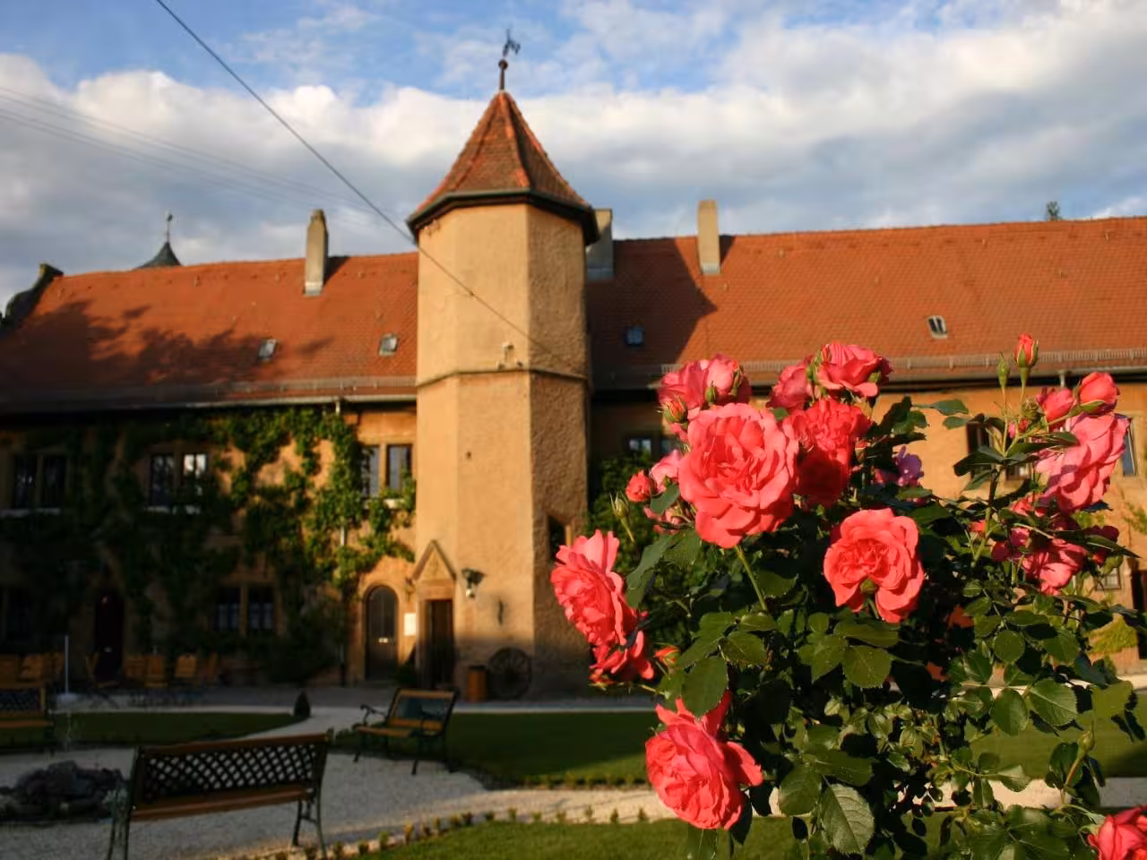 Bild der Unterkunft