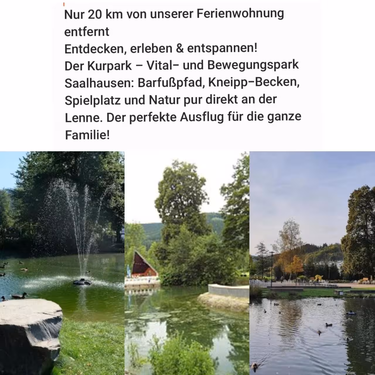 Bild der Unterkunft