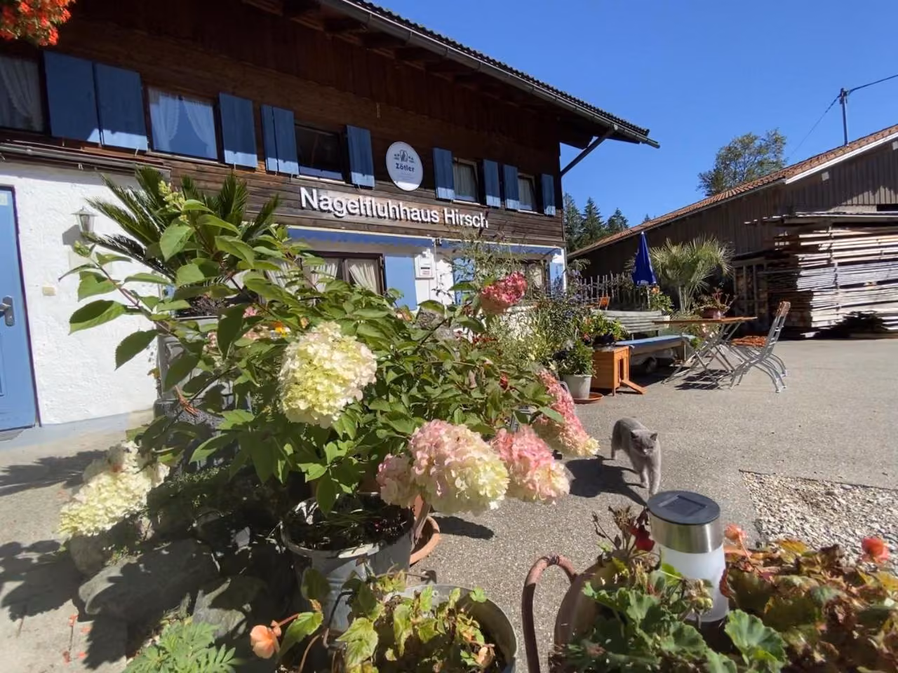 Bild der Unterkunft