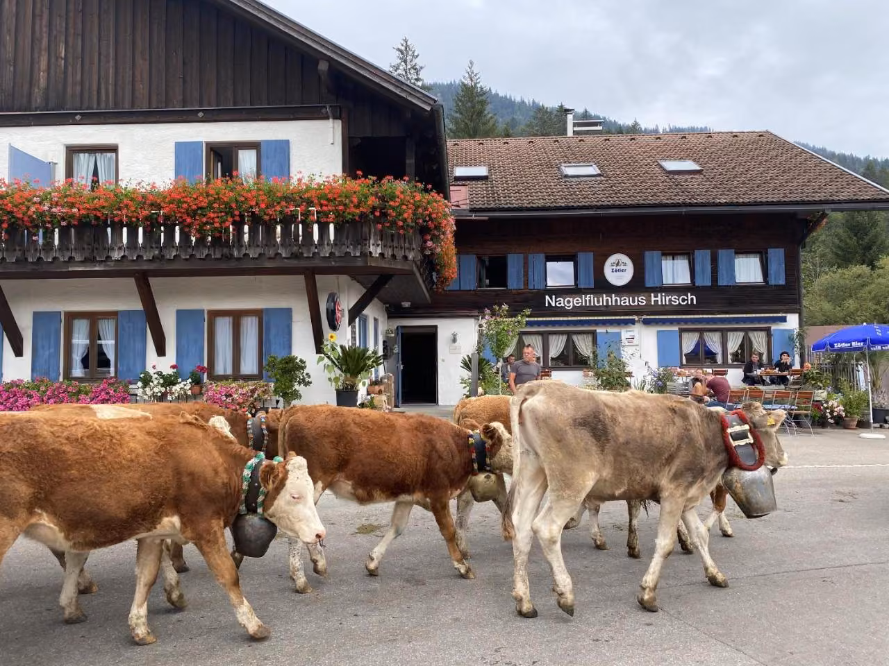 Bild der Unterkunft