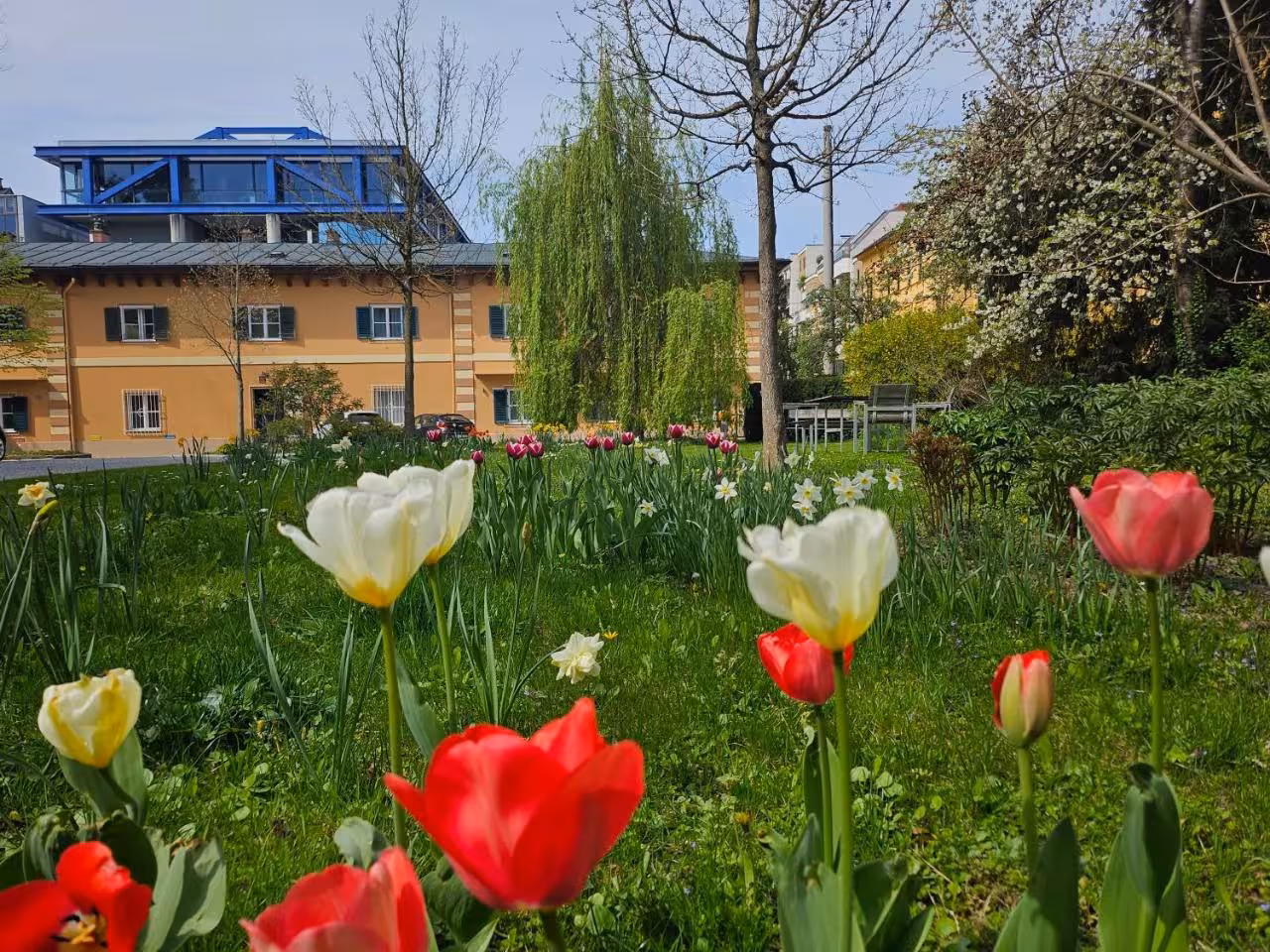 Bild der Unterkunft