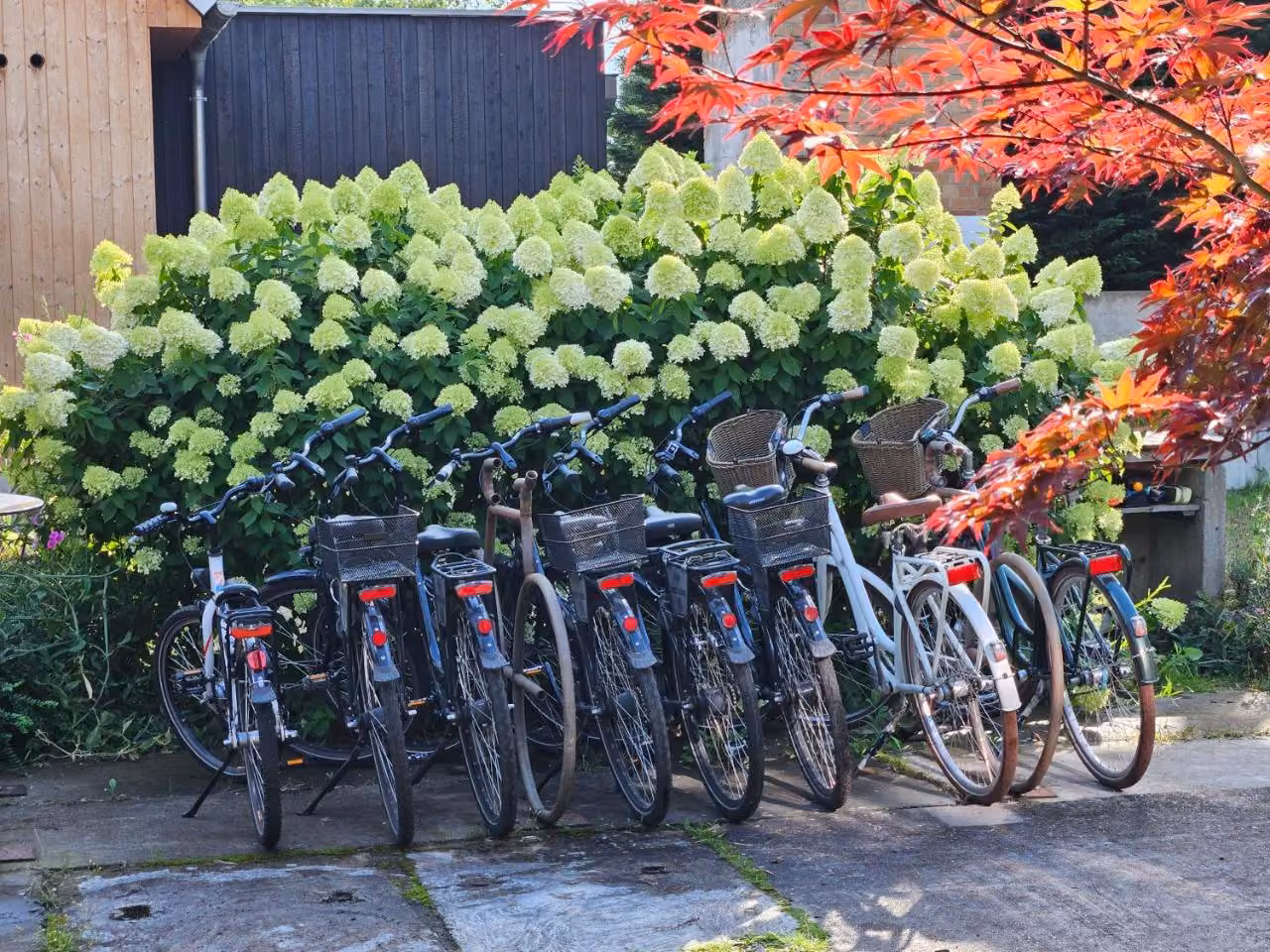 Bild der Unterkunft