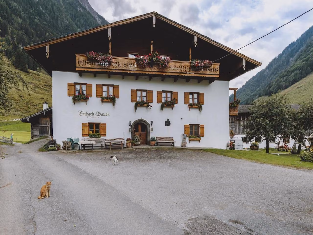 Bild der Unterkunft