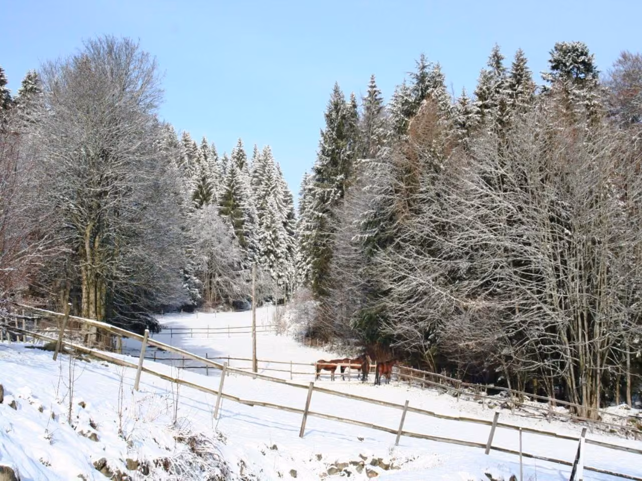 Bild der Unterkunft