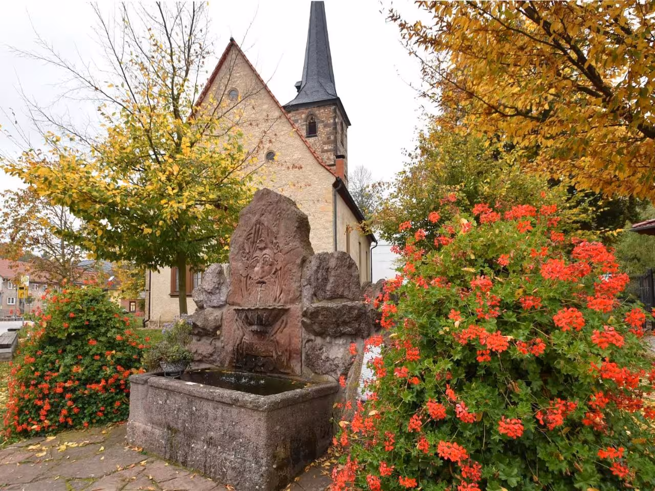 Bild der Unterkunft