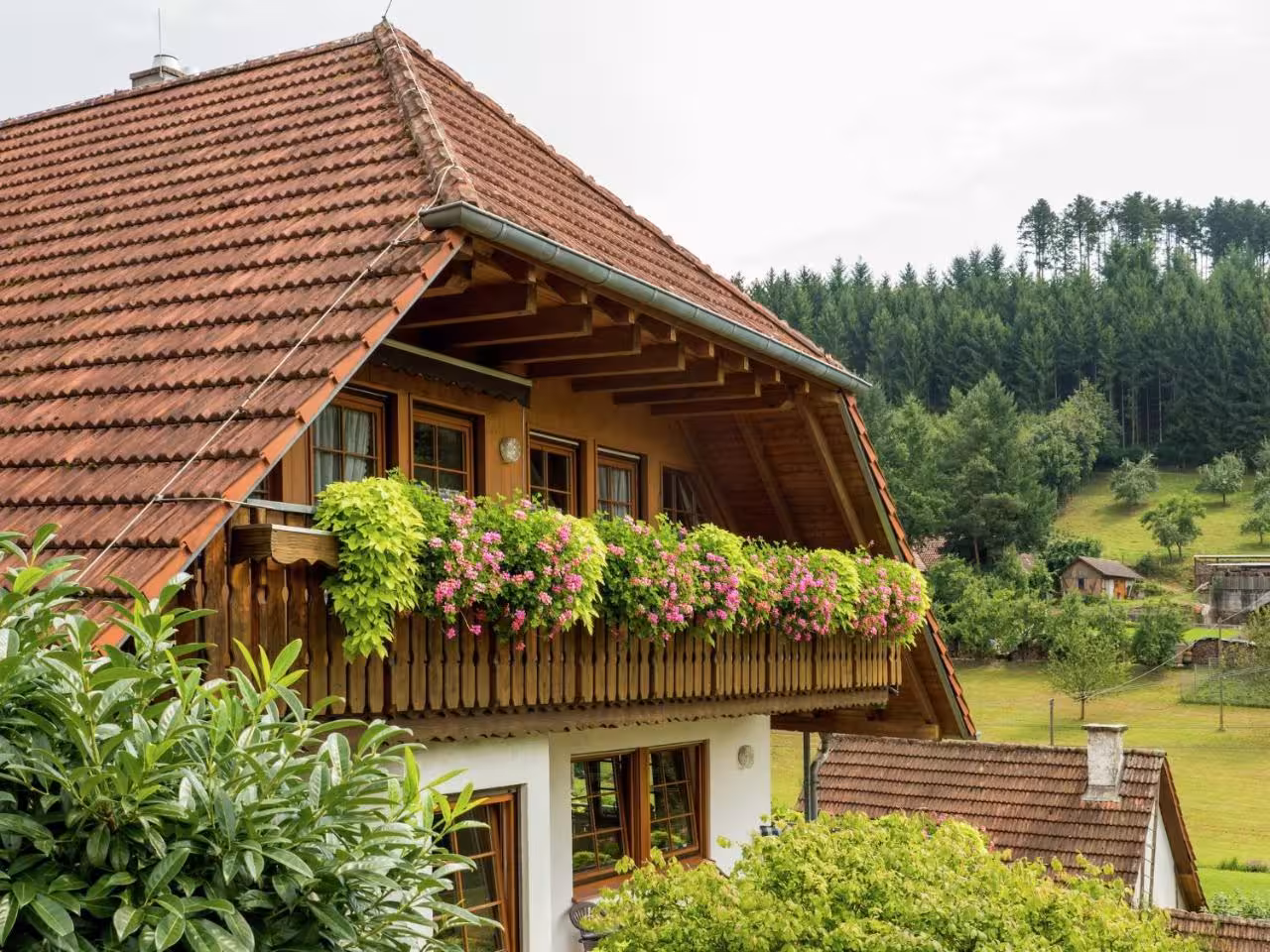 Bild der Unterkunft