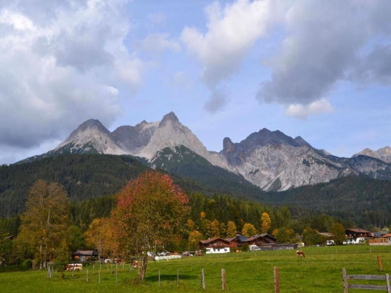 Bild der Unterkunft