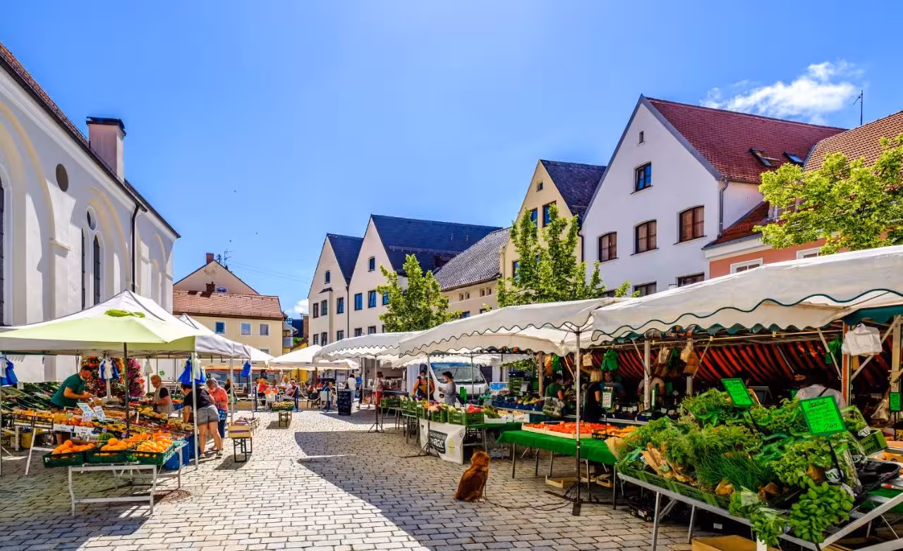 Bild der Unterkunft