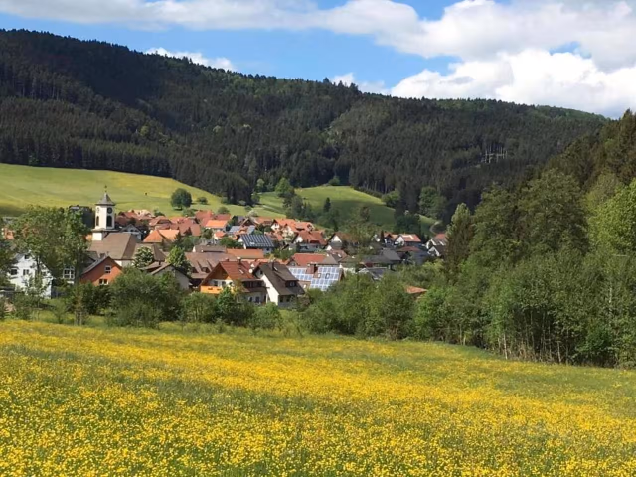 Bild der Unterkunft