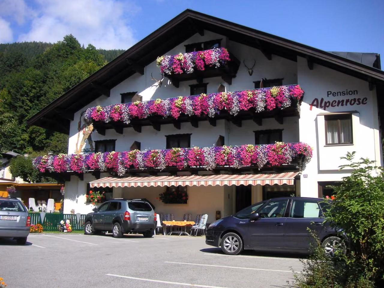 Bild der Unterkunft