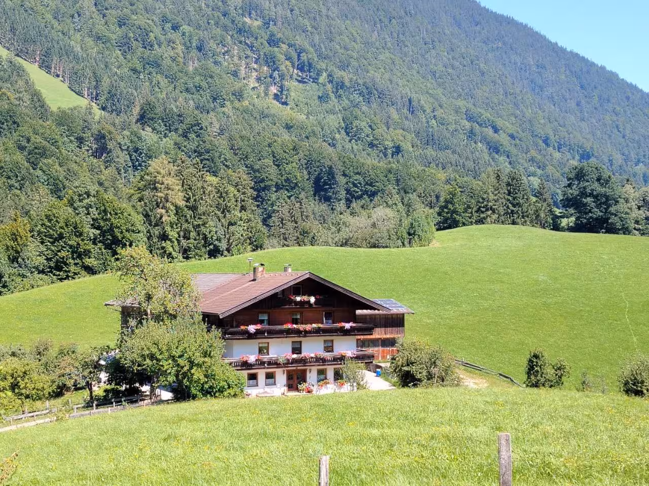 Bild der Unterkunft