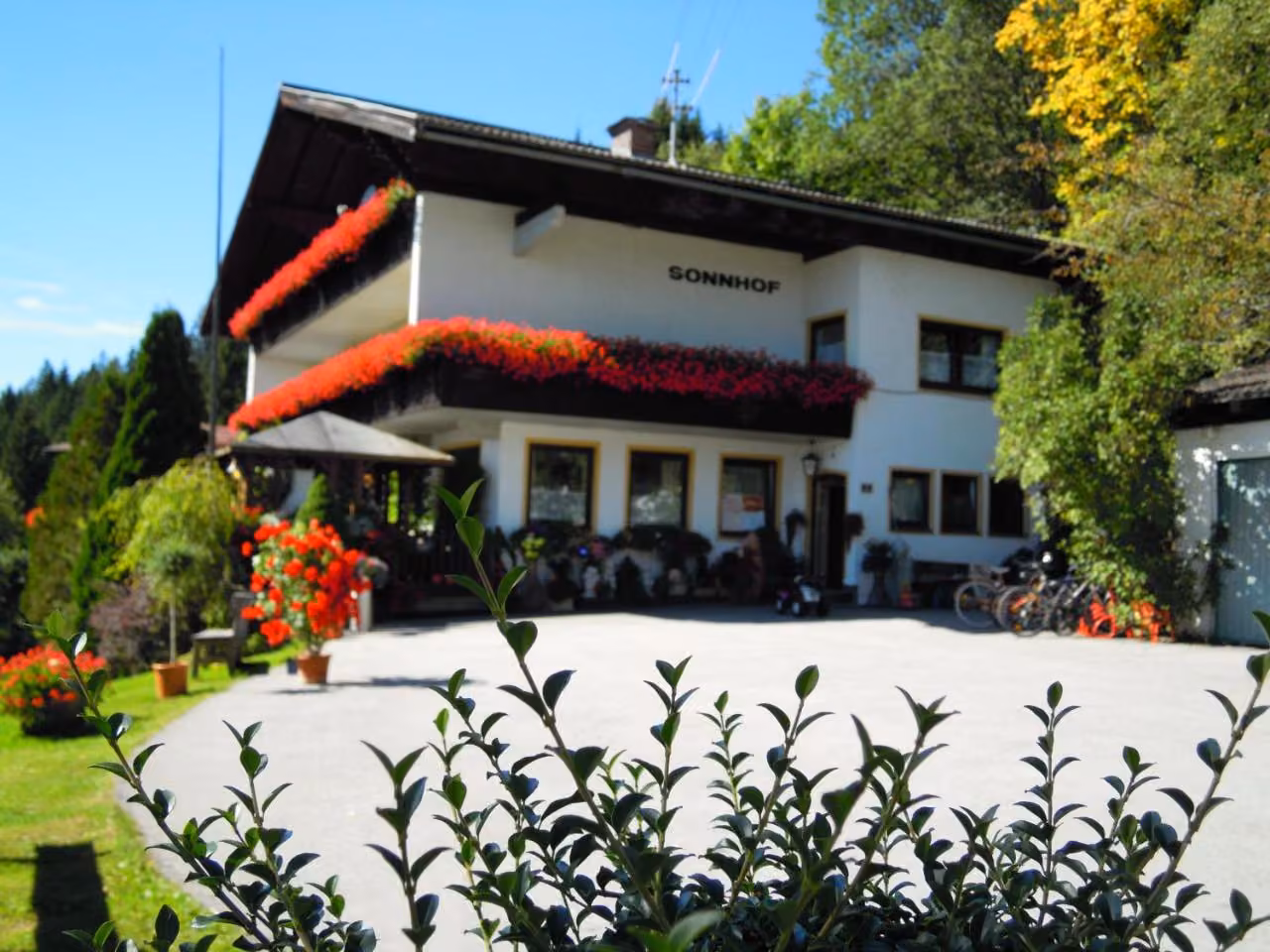 Bild der Unterkunft