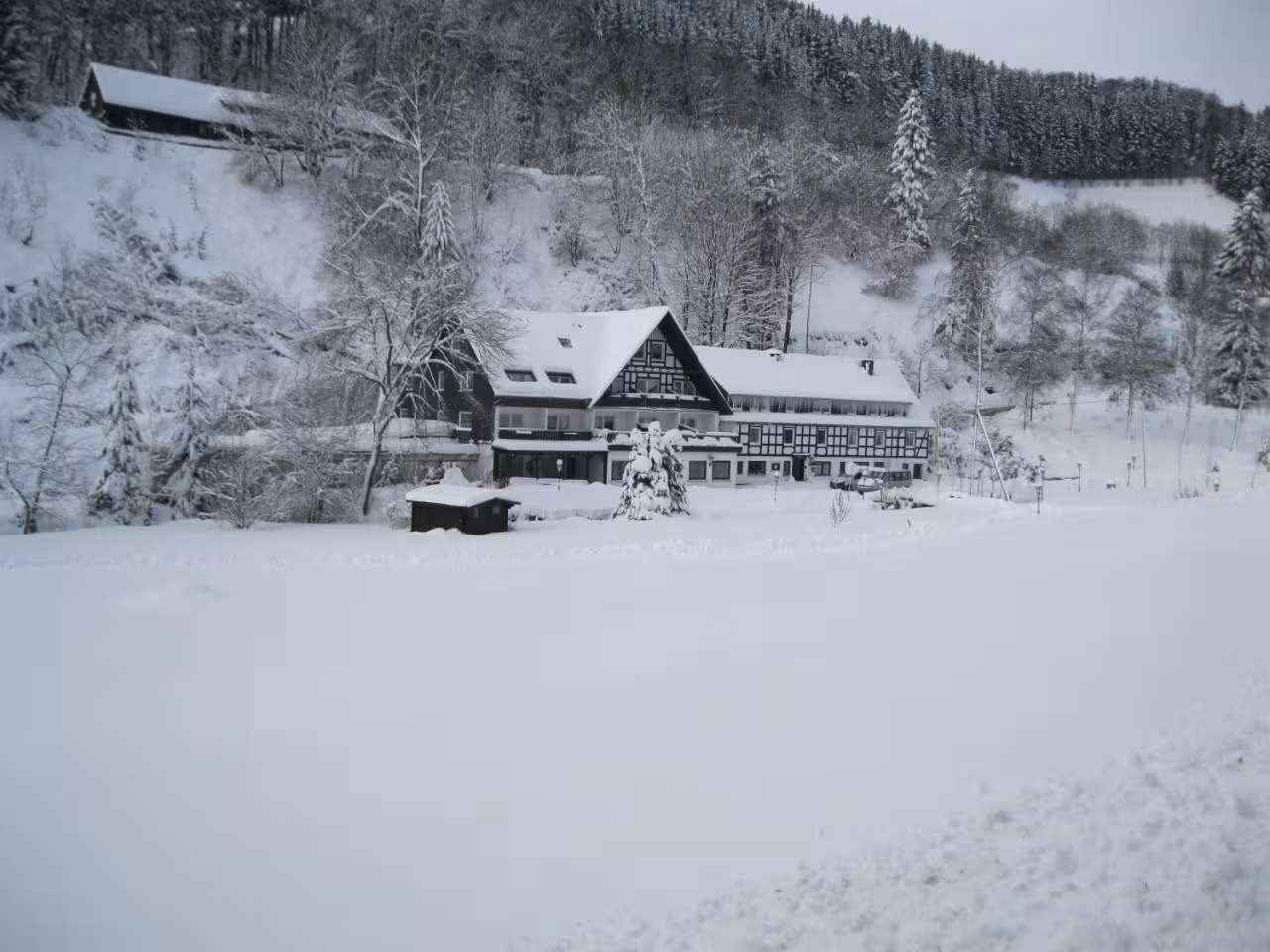 Bild der Unterkunft