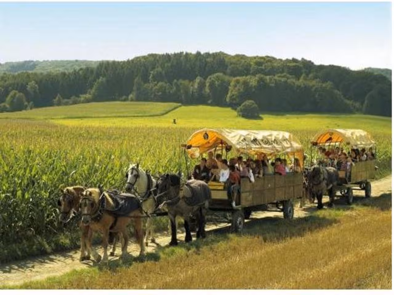 Bild der Unterkunft