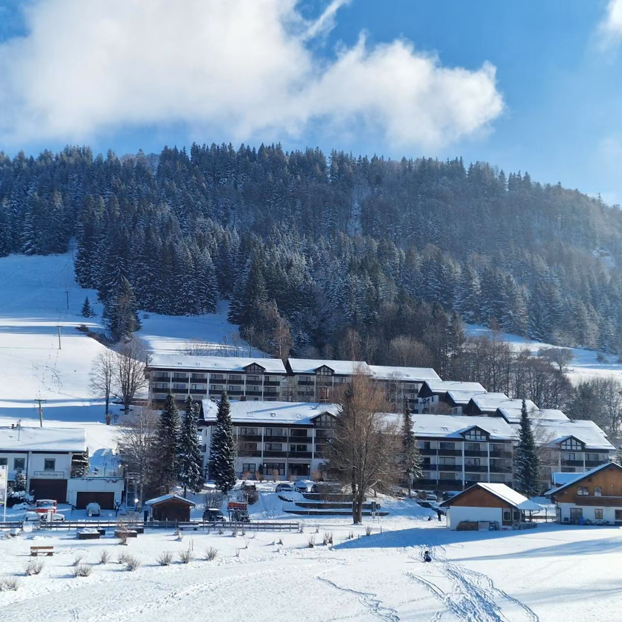 Bild der Unterkunft