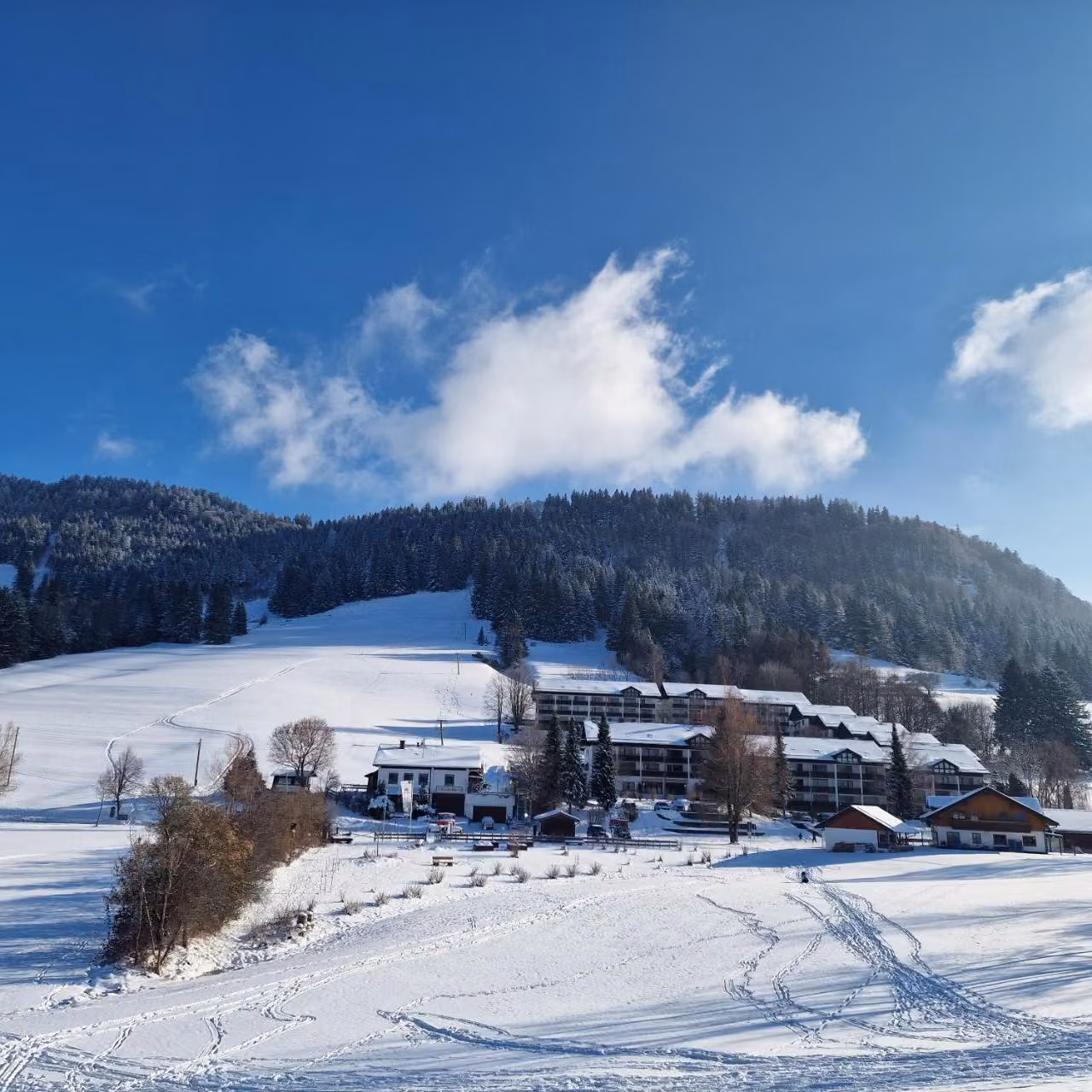 Bild der Unterkunft