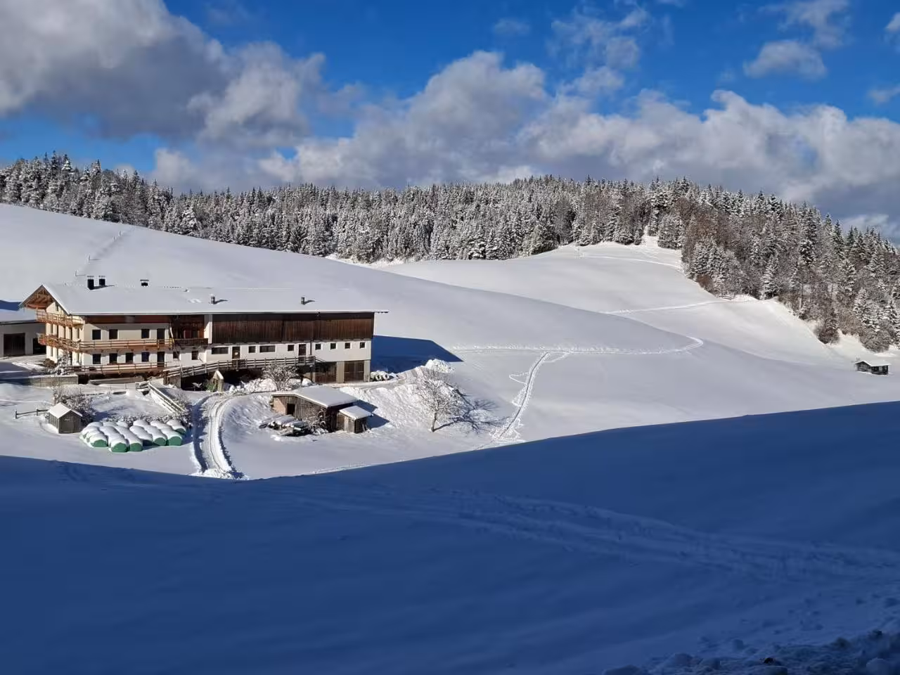 Bild der Unterkunft