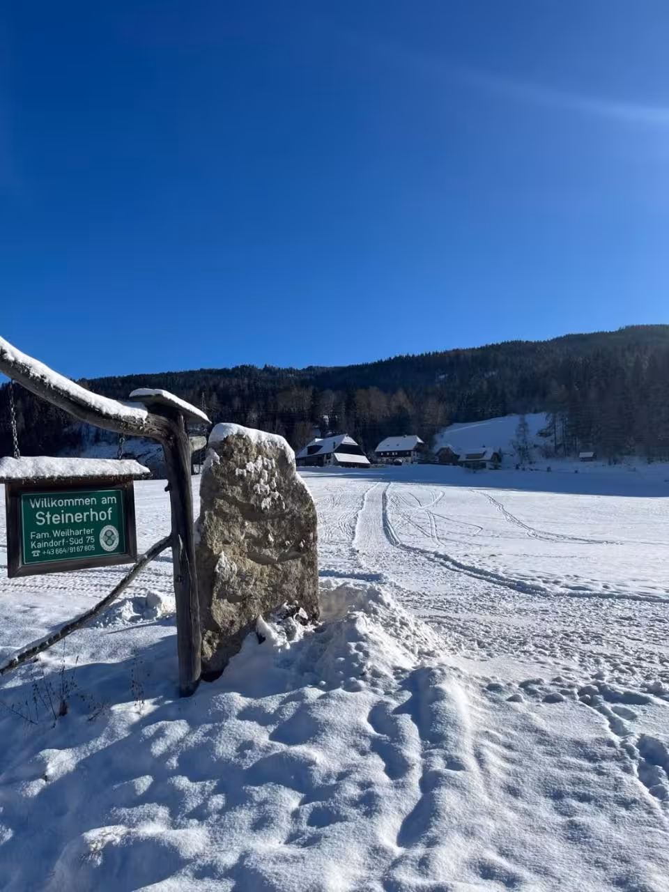 Bild der Unterkunft