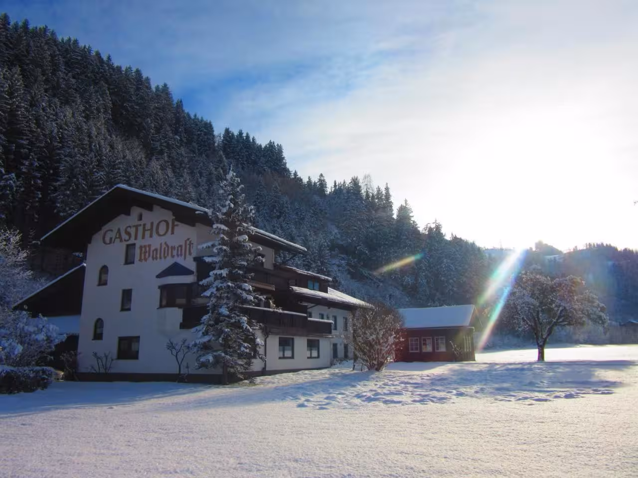 Bild der Unterkunft