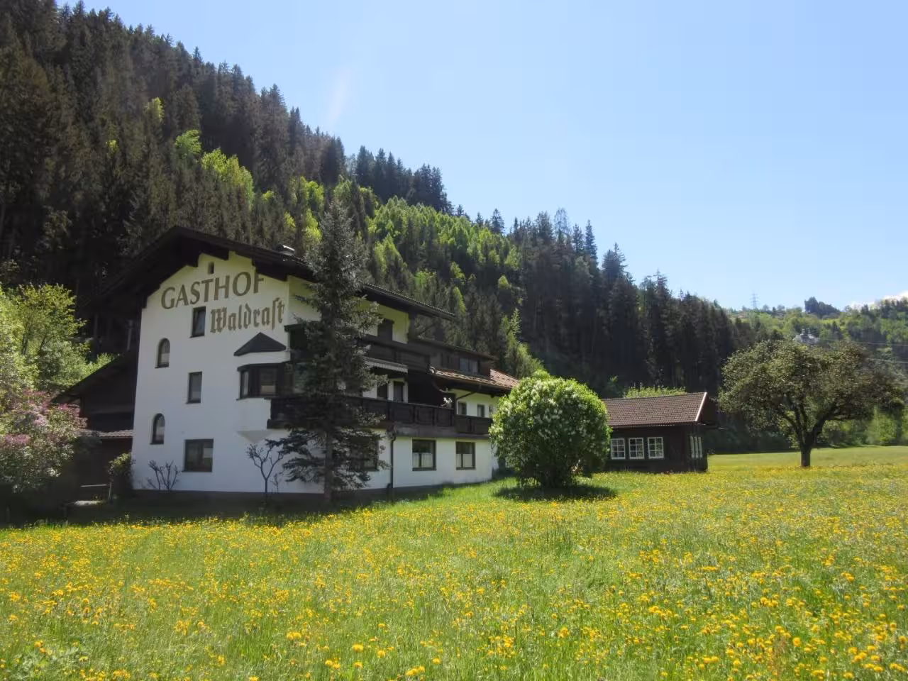 Bild der Unterkunft