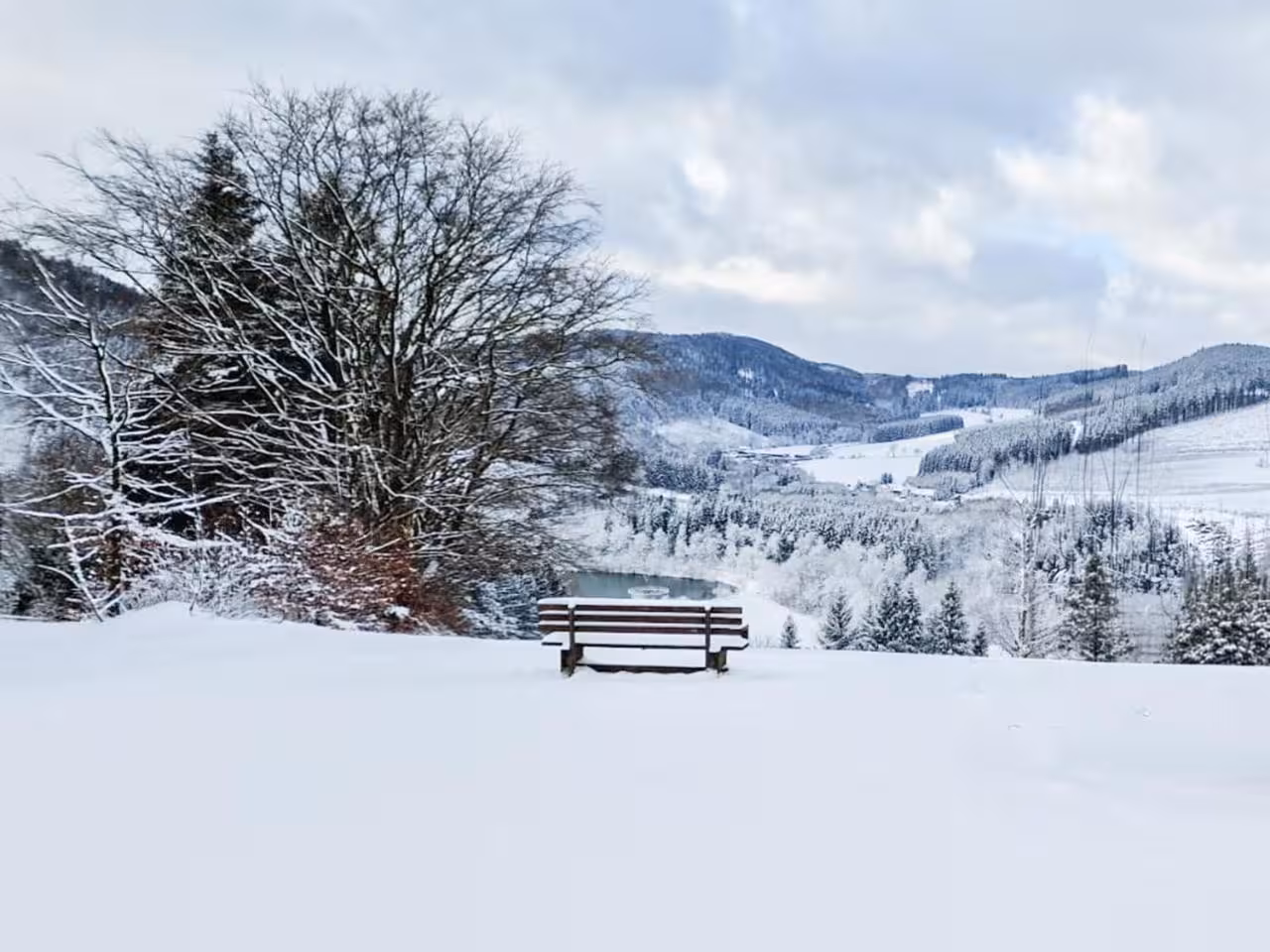 Bild der Unterkunft