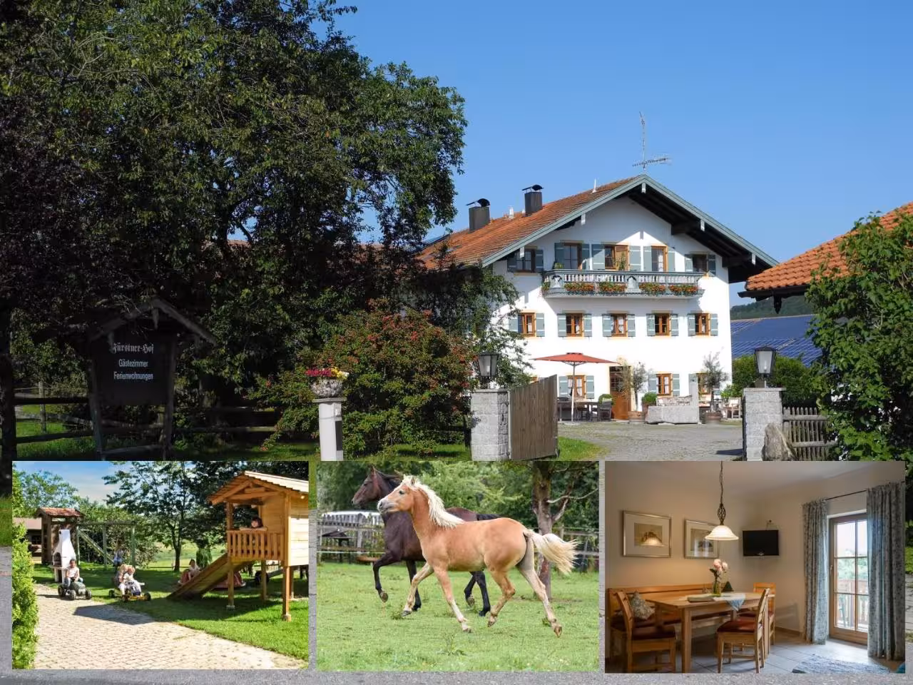 Bild der Unterkunft