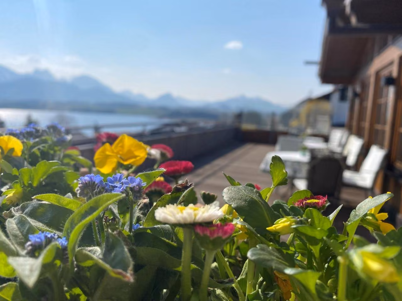 Bild der Unterkunft