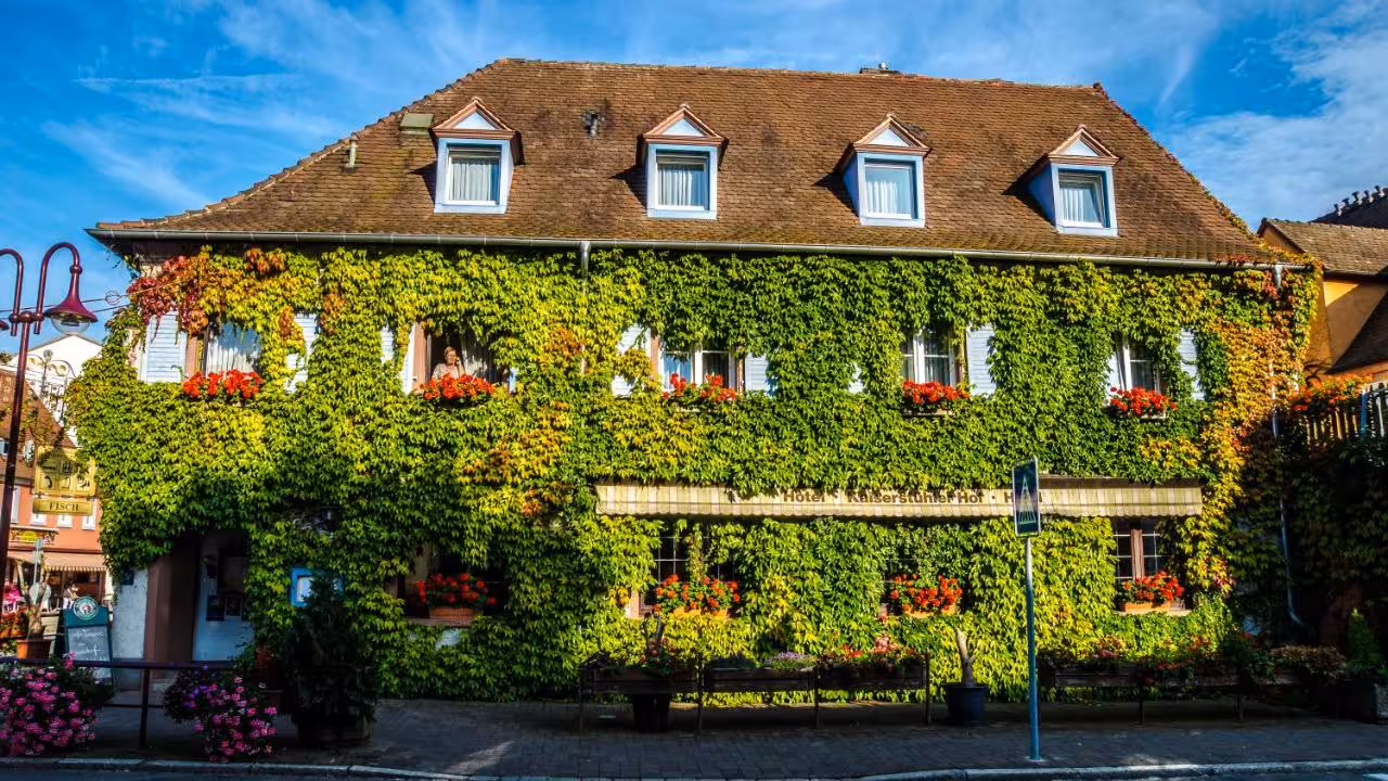 Bild der Unterkunft