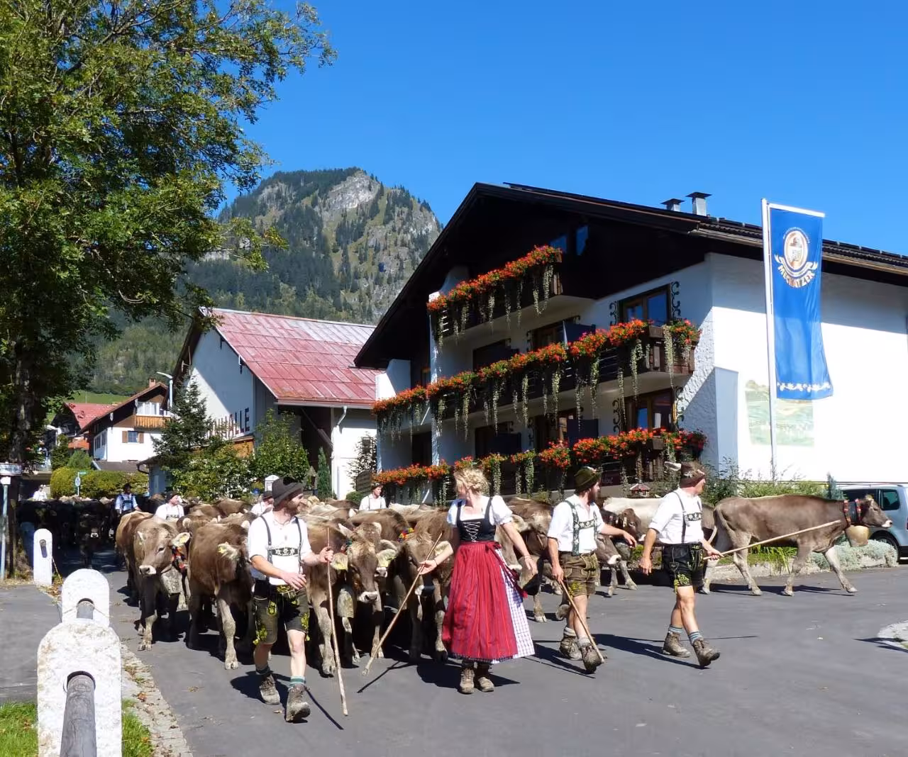 Bild der Unterkunft