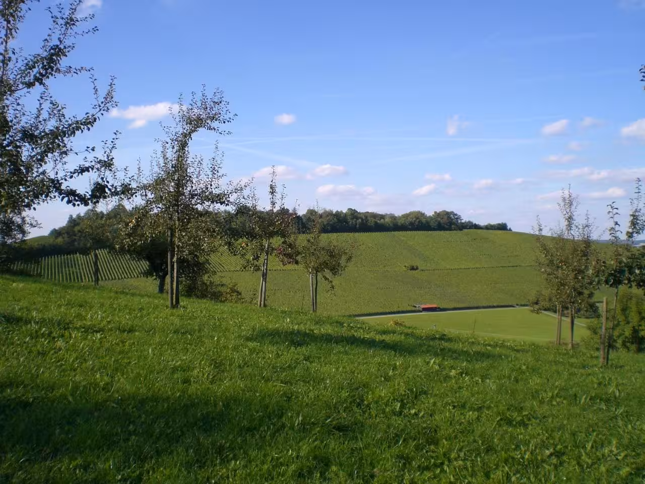 Bild der Unterkunft