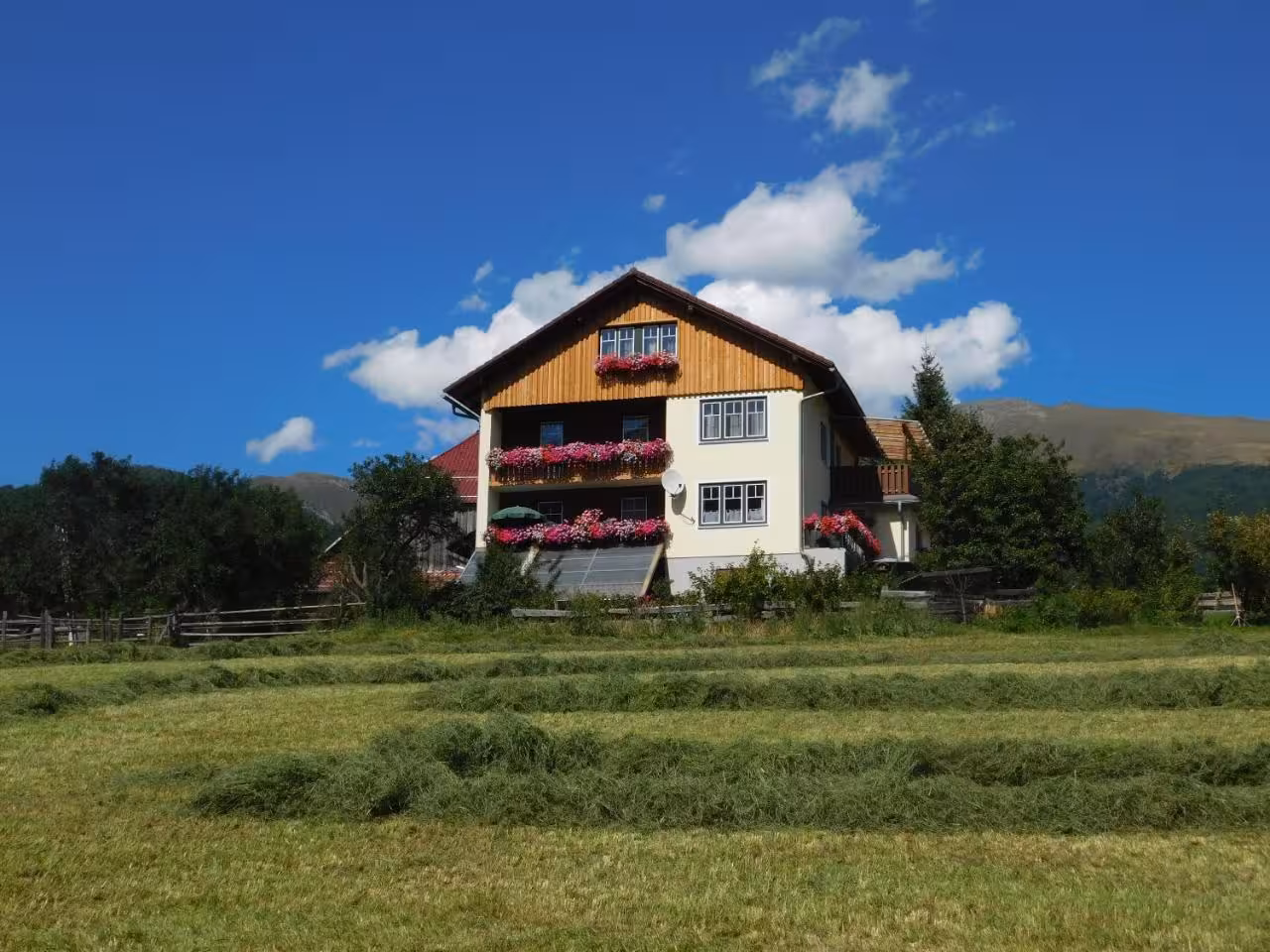 Bild der Unterkunft