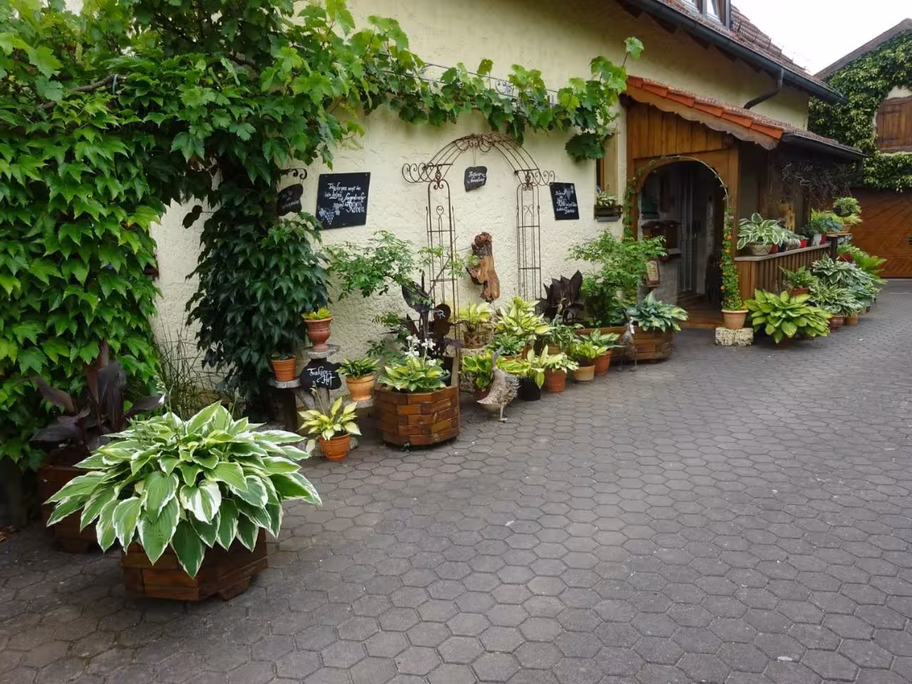 Bild der Unterkunft