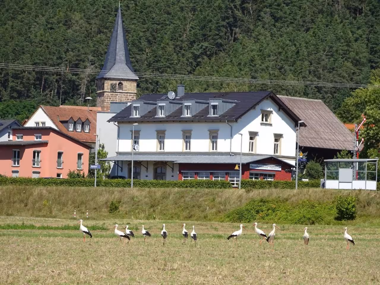 Bild der Unterkunft
