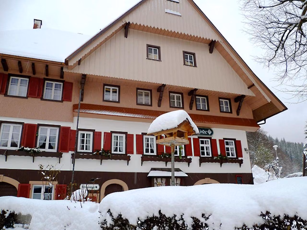 Bild der Unterkunft