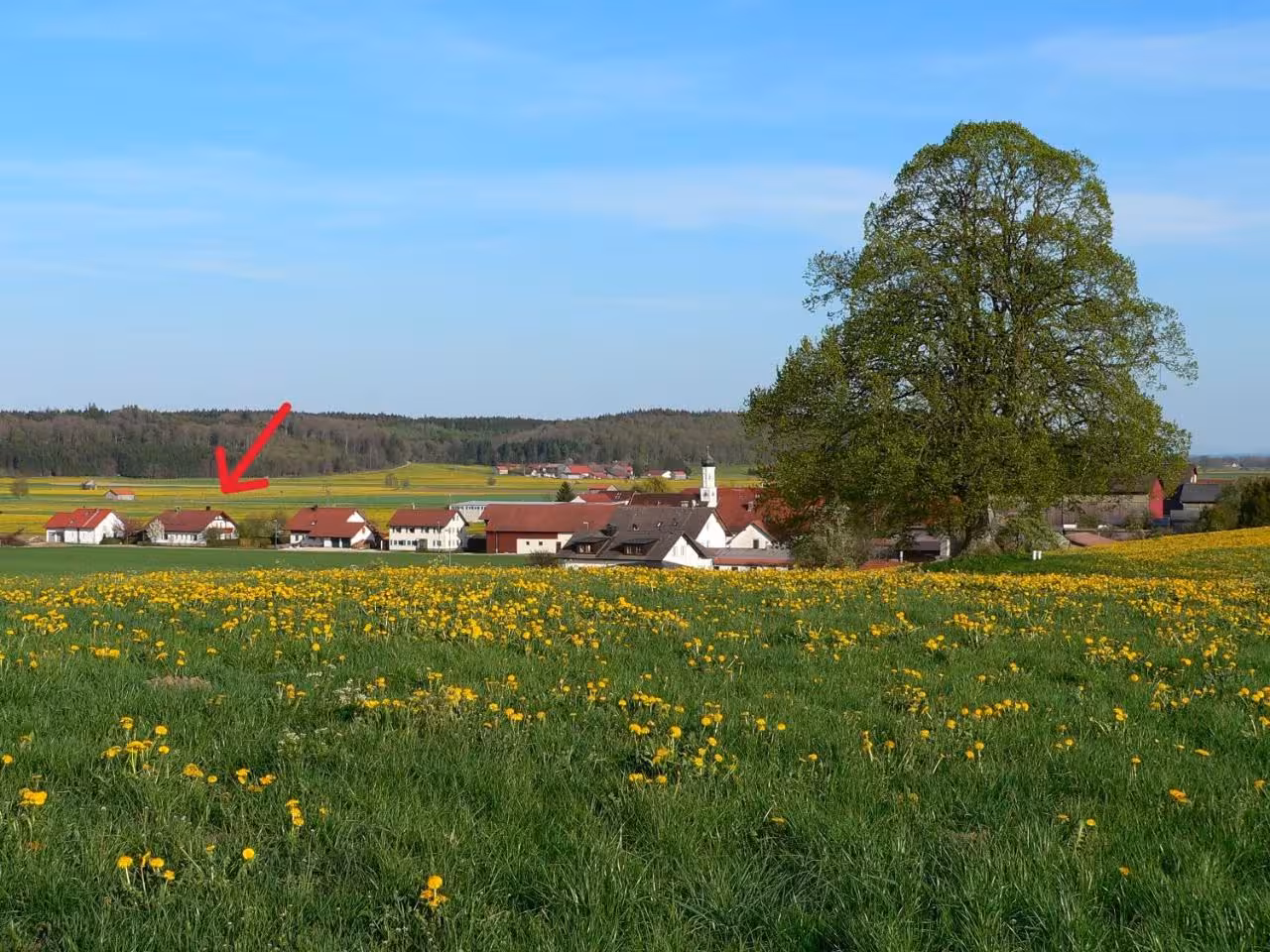 Bild der Unterkunft