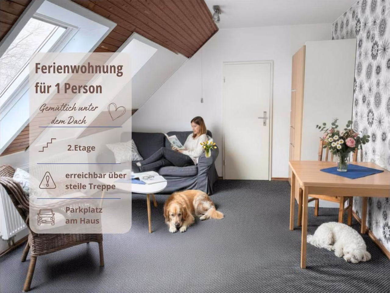 Bild der Unterkunft