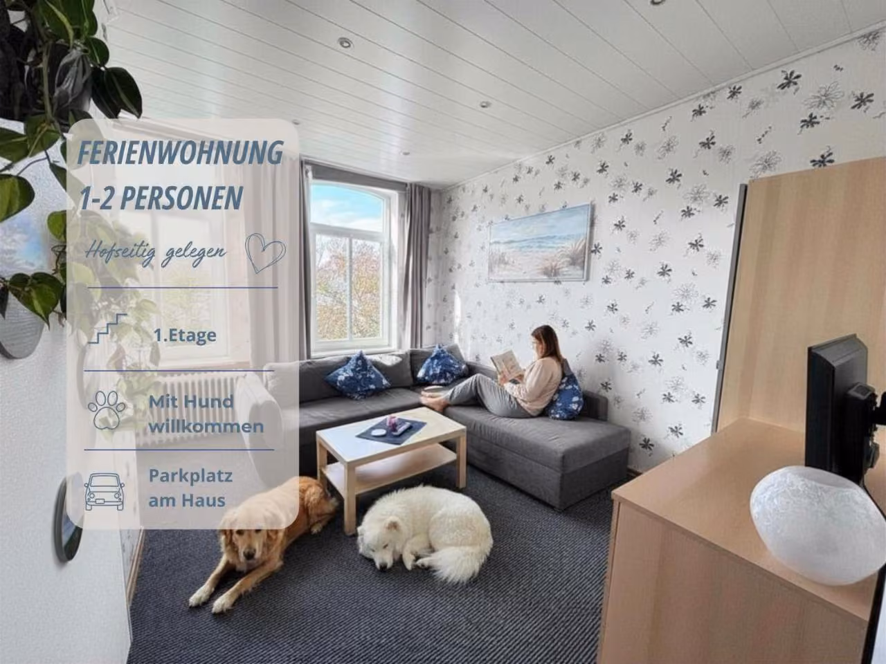 Bild der Unterkunft